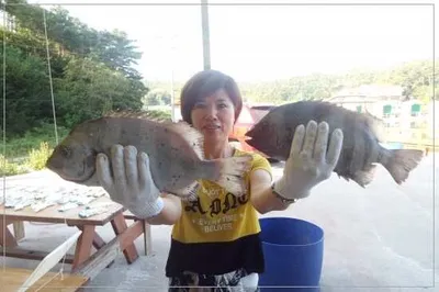 7월29일어심바다낚시터조황