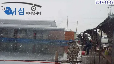 11월19일어심바다낚시터조황(노지및랍스타하우스)