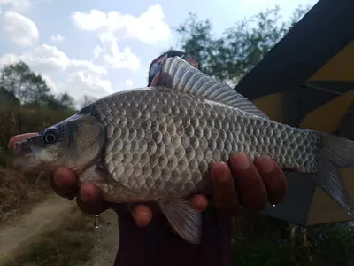 아산 명품월랑낚시터 10월 둘째주 이야기입니당~~~^^