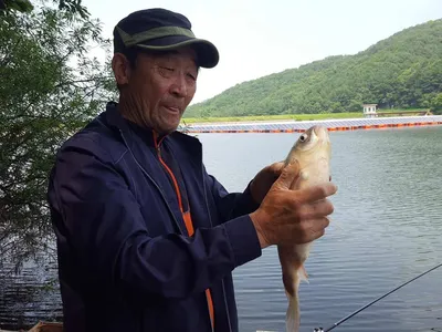 안성죽산장계지조항전경입니다