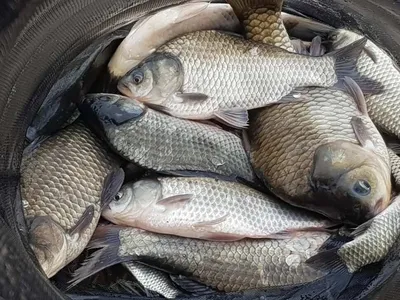 깊은계곡속에자리잡은장계지에서