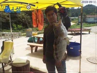 9월11일 어심바다낚시터조황