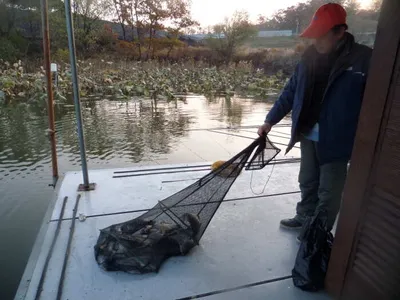 11월 끝자락 오목낚시터 조황입니다~~~!!!