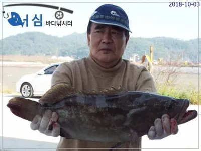 10월3일 어심바다낚시터조황