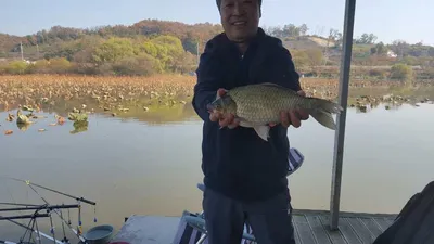 아산 명품 월랑낚시터 11월 첫쭈 조황이야기입니다...^^
