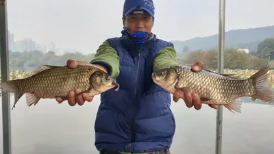 아산 명품 월랑낚시터 10월 세째쭈 조황이야기입니다..^^