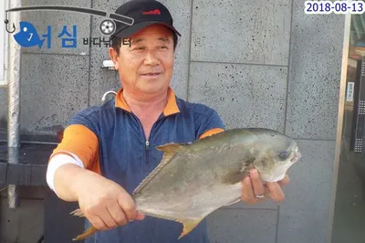 8월13일 어심바다낚시터조황