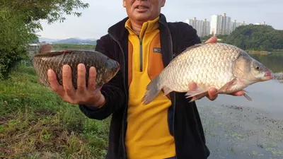 아산 명품 월랑낚시터 9월 두번째 조황이야기입니다...^^