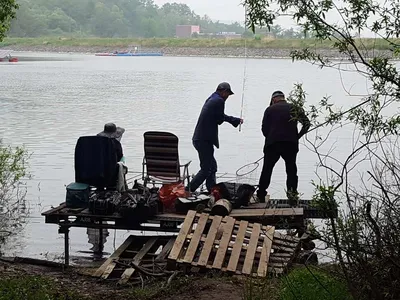 안성죽산장계지조항전경입니다