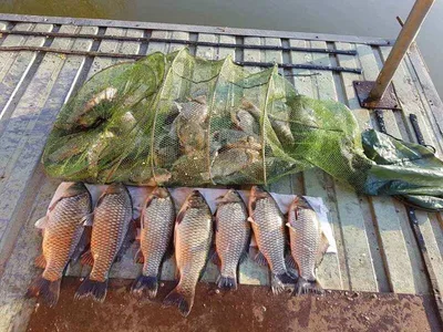 오목낚시터 11월삼주차 조황입니다!!!