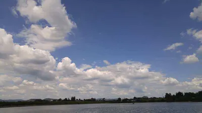 폭염 이 또한 지나가리라하는 맘으로~~~