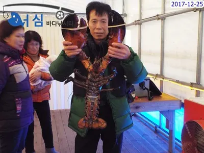 12월25일어심바다낚시터조황(하우스)
