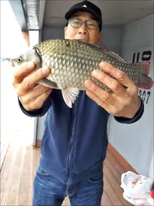 17.10.12 송전지 서울집 조황