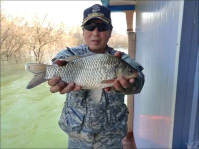 18.03.22 송전지 서울집 조황