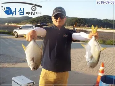 9월8일 어심바다낚시터조황