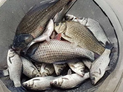 아름다운장계지에서