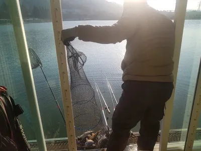 11  월  18   일  경기도 안성 거청낚시터 붕어조황