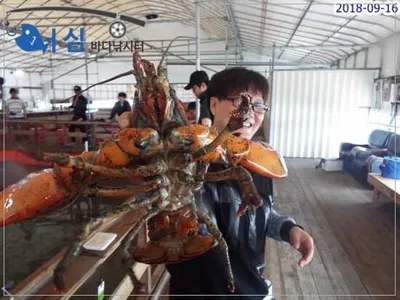 9월16일 어심바다낚시터조황