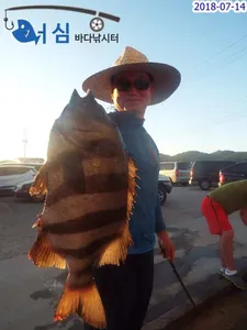 7월14일 어심바다낚시터조황