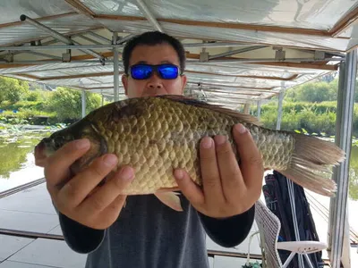 아산 명품 월랑낚시터 8월 첫번째 조황이야기입니다...^^