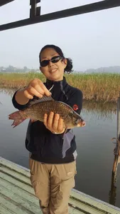 오목낚시터 9월 둘째주 조황보고합니다