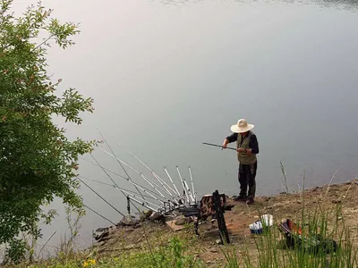 아름다운장계지에서