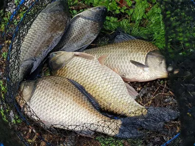 아름다운장계지에서