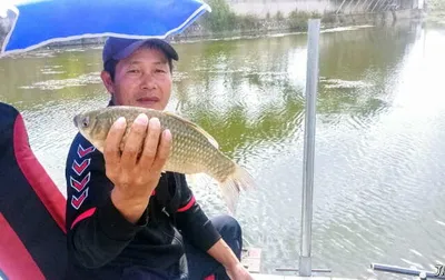 아산 명품 월랑낚시터 10월 세째주 이야기입니당~~~^^