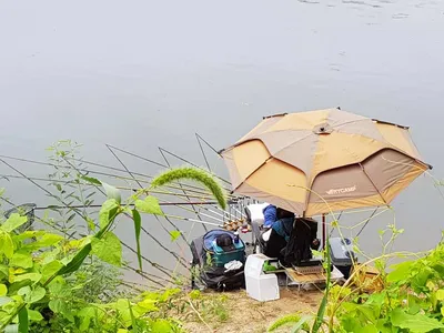 산속깊은계곡속에자리잡은장계지에서