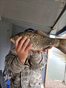 17.11.12 송전지 서울집 조황