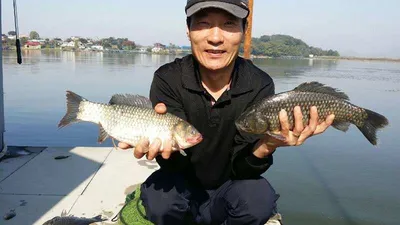 오목낚시터 10월 셋째주 조황입니다!!!