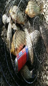 10  월  25일  경기도 안성 거청낚시터 붕어조황