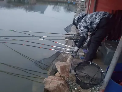 12  월  11   일  경기도 안성 거청낚시터 붕어조황