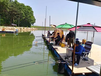 행사많던 오월이 가네요~오목지 마지막주 조황이요!!!
