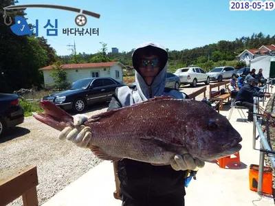 5월19일어심바다낚시터조황
