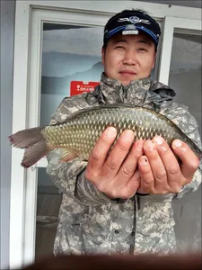 17.10.14 송전지 서울집 조황