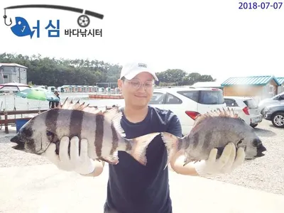7월7일 대박어심바다낚시터조황