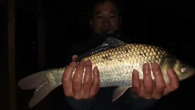 아산 명품 월랑낚시터 3월 첫번째 조황이야기입니다...^^