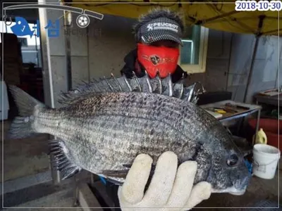 10월 30일 어심바낚시터조황