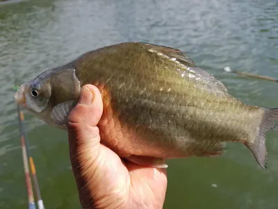 깊은계곡속에자리잡은장계지에서