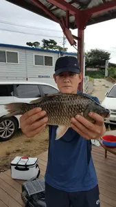 아산 명품 월랑낚시터 8월 마지막 조황이야기입니다...^^