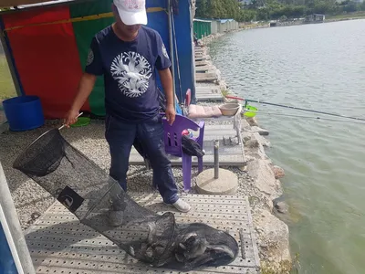 10  월  07일  경기도 안성 거청낚시터 붕어조황