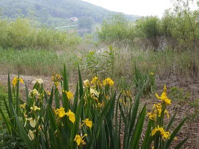 안성죽산장계지조항전경입니다