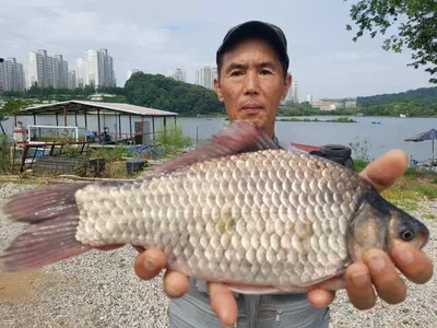 아산 명품 월랑낚시터 7월 세번째 조황이야기입니다...^^