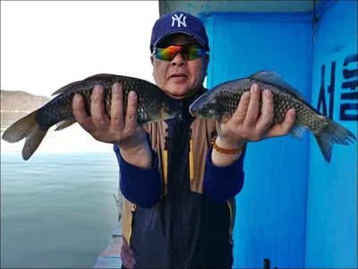 18.04.13 송전지 서울집 조황