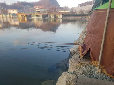 12  월  09   일  경기도 안성 거청낚시터 붕어조황