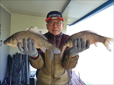 18.04.09 송전지 서울집 조황