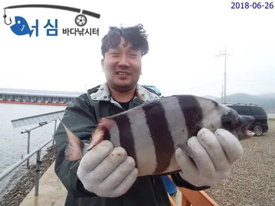 6월27일 어심바다낚시터조황