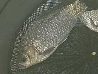 깊은계곡속에자리잡은장계지에서