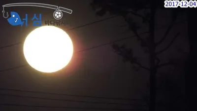 12월4일 어심바다낚시터조황(노지,하우스)